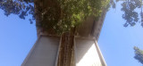 Viaducto de la autopista de Martigues_Martigues