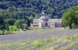 Abbaye de Sénanque