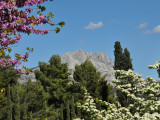 13SI000012_2_HD.jpg