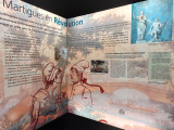 Galerie de l'Histoire de Martigues_Martigues - © Otmartigues-Karim.K Galerie de l'Histoire de Martigues_Martigues