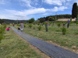 Côté grenades_Martigues