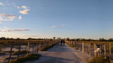 sentier_sansouire_e_rouquette.jpg - © Cindy Avon sentier_sansouire_e_rouquette.jpg