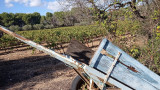 Martigues’ Vineyard Trails - Grape varieties trail_Martigues