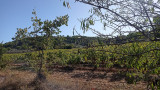 Martigues’ Vineyard Trails - Panoramic trail_Martigues