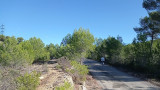 Sendero de los viticultores - Bucle de la Venecia de Provenza_Martigues