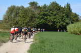 Boucle cyclo : Au coeur de la Montagnette