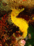 13T3001554_5_HD.jpg