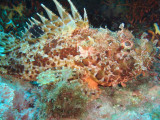 13T3001554_9_HD.jpg