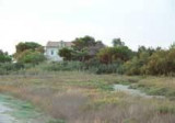 Réserve national de Camargue