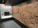 Galerie de l'Histoire de Martigues_Martigues