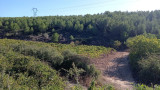 Sendero de los viticultores - Bucle de la Venecia de Provenza_Martigues