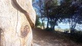 Les parcours du Grand Parc de Figuerolles_Martigues - © Otmartigues / MyriamF Les parcours du Grand Parc de Figuerolles_Martigues