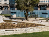 Musée d'Histoire de Marseille (MHM)