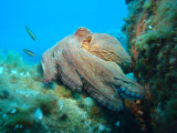 13T3001554_7_HD.jpg 13T3001554_7_HD.jpg