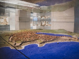 Musée d'Histoire de Marseille (MHM) Musée d'Histoire de Marseille (MHM)