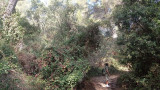 Sentier entre mer et étangs_Martigues