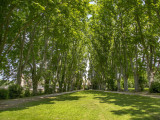 Bastide du Jas de Bouffan_Aix-en-Provence