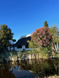 img_4824.jpeg