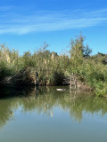img_4801.jpeg
