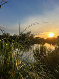 img_5896.jpeg