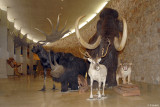 musée_troupeau
