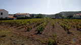 Hiking trails in the countryside of Saint-Julien-les-Martigues, offering panoramic views of the Mediterranean Sea, stone quarries, and military ruins
