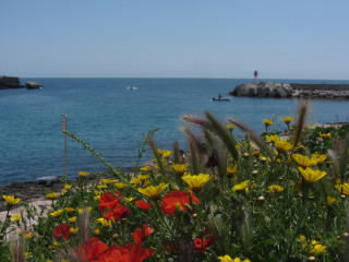 Carro, Martigues
