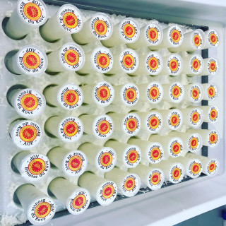 Thoron Bernard, Fermette de la Croix d'Estrine_Martigues Thoron Bernard, Fermette de la Croix d'Estrine_Martigues