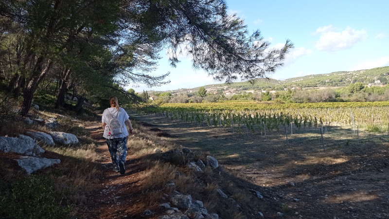 Spur der Weinbauern -  Schleife des Venedig der Provence