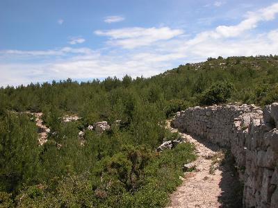13SN000251_1_WEB.jpg
