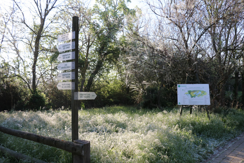 Départ du sentier des rainettes