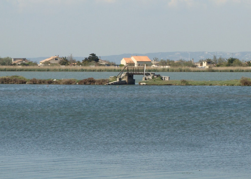 L'étang de Bolmon