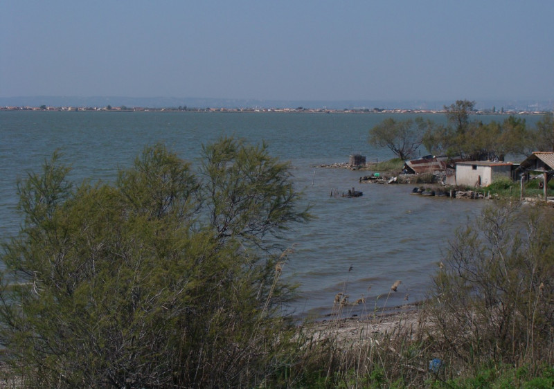 L'étang de Bolmon à Marignane