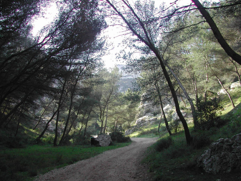 13T2001663_1_HD.jpg