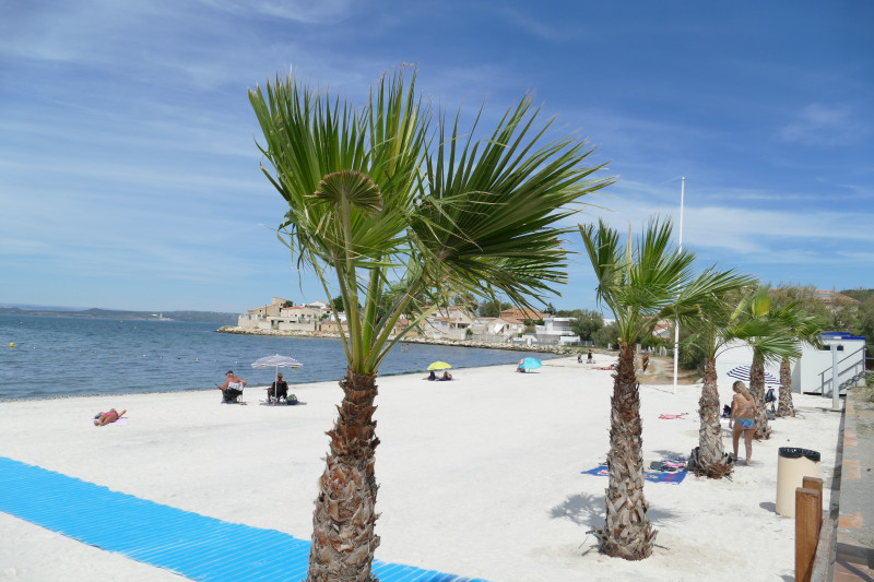 Plage de Massane
