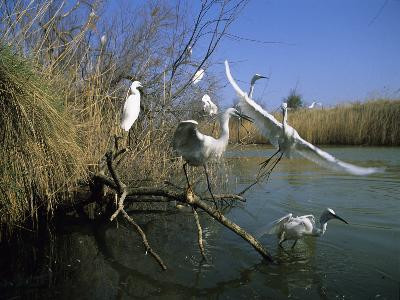 13VIS000900_1_WEB.jpg