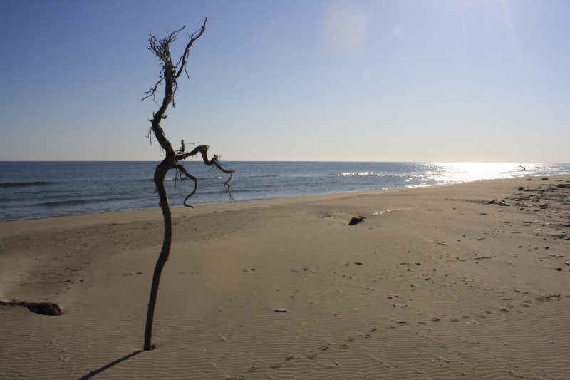 Plage Napoléon