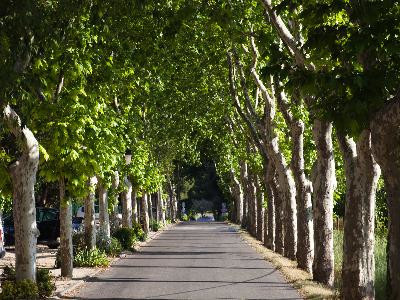 Belles Routes : De Tarascon à Salon-de-Provence