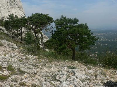 Chaîne de l'Etoile