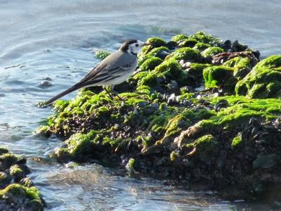 13SN000310_1_WEB.jpg 13SN000310_1_WEB.jpg