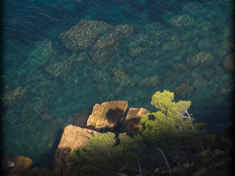 13SN000056_4_HD.jpg 13SN000056_4_HD.jpg