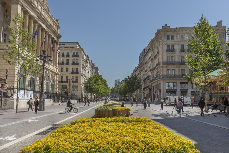 La Canebière, fleurs jaunes©mrOMTCM - © La Canebière, fleurs jaunes©mrOMTCM La Canebière, fleurs jaunes©mrOMTCM