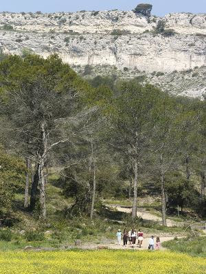 13VI002262_2_WEB.jpg 13VI002262_2_WEB.jpg