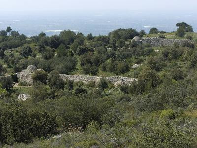 13VI002262_3_WEB.jpg 13VI002262_3_WEB.jpg