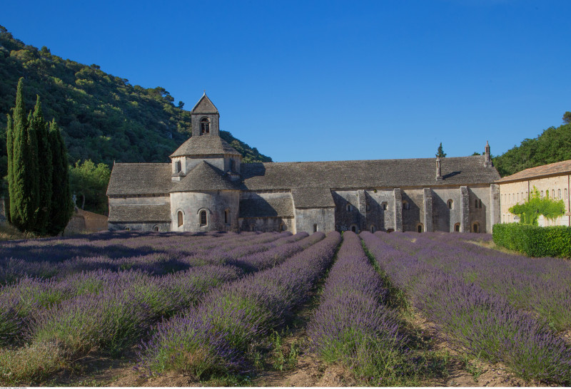 Abbaye de Sénanque Abbaye de Sénanque