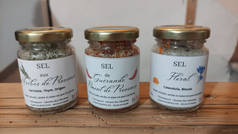 Farm l'intemporel - Jardin des Cheylans_Martigues