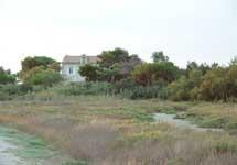 Réserve national de Camargue