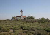 Etang du Tampan - phare de la Gacholle