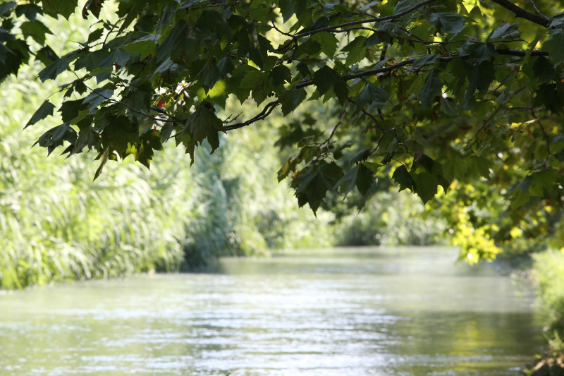 Les canaux de la Crau et des Alpilles
