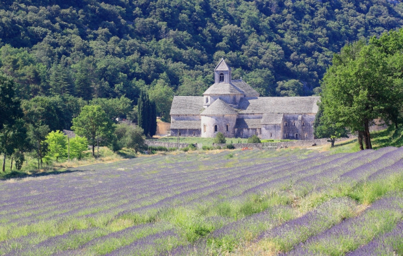 Abbaye de Sénanque - © Droits gérés A. Hocquel / Collect ADT Abbaye de Sénanque